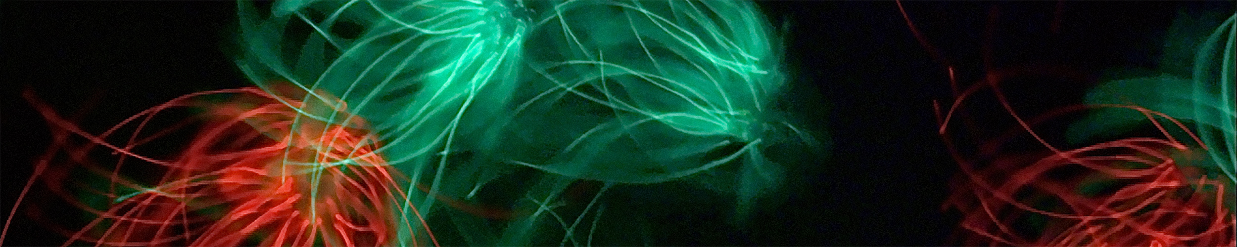 Microscopy image